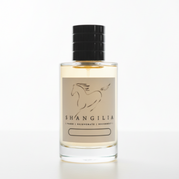 Shangilia  Defuser